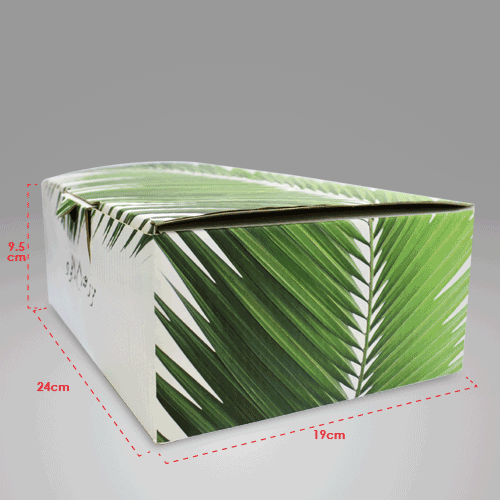 Corrugated Box 24x19x9.5cm