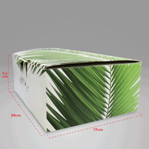 Corrugated Box 24x19x9.5cm - OFST