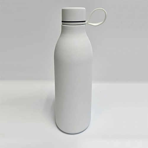 Vaccum Insulated Bottle DG-001 500ML